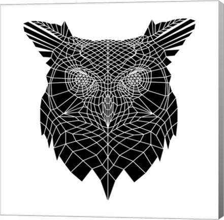 Framed Black Owl Head Mesh Print