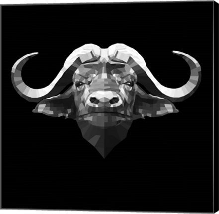 Framed Black Buffalo Print