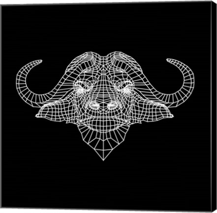 Framed Black Buffalo Mesh Print