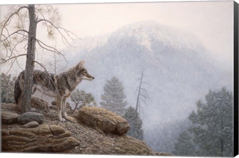 Framed Misty Lookout Print