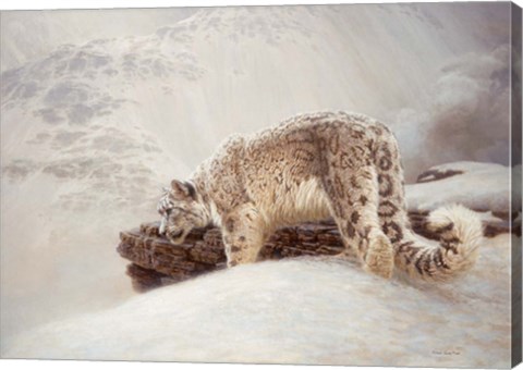 Framed Thru The Pass Print