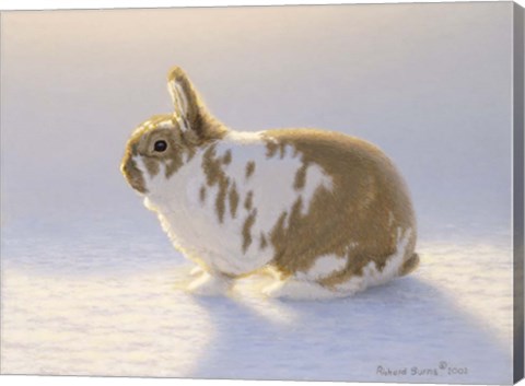 Framed Princess Print