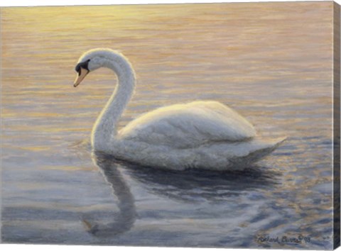 Framed Quiet Waters 2 Print