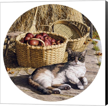 Framed Sunspot Print