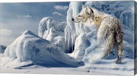 Framed Arctic Spirit Print