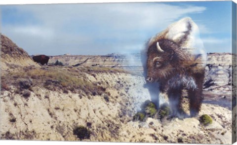 Framed Dakota Domain Print