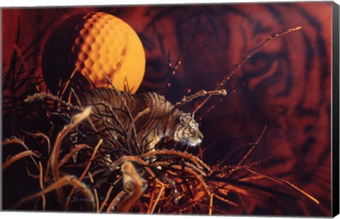 Framed Tiger In The Woods Print