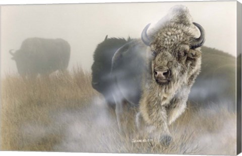 Framed White Mist Print