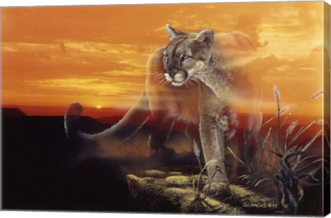 Framed Ghost Of The Badlands Print