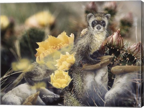 Framed As Time Fades By Print