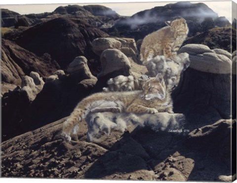 Framed After The Storm Print