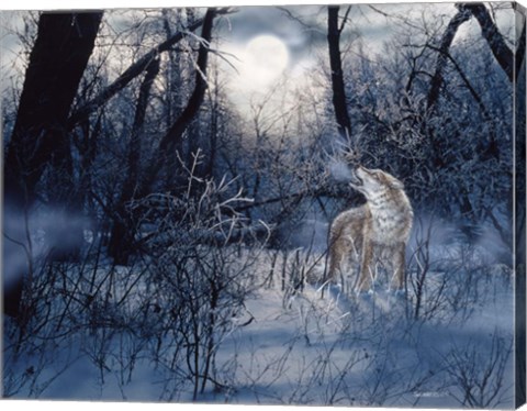 Framed Minnesota Moon Print