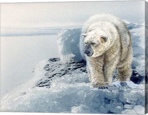 Framed Polar Dawn Print