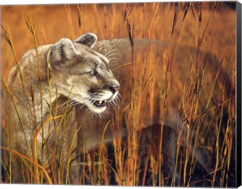 Framed Prairie Marauder Print