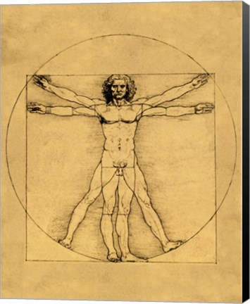 Framed Proportions of the Human Figure - Vitruvian Man Print