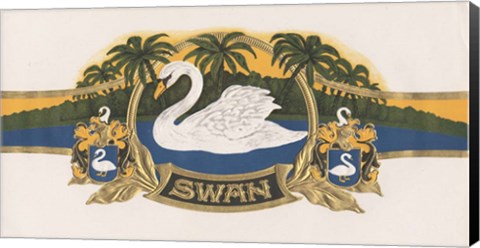 Framed Swan Print