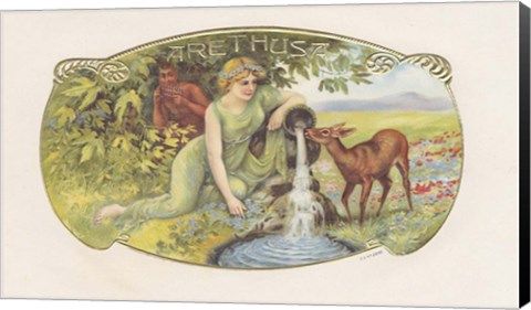 Framed Arethusa Print