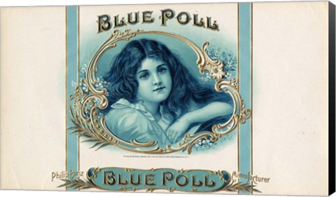 Framed Blue Poll Print