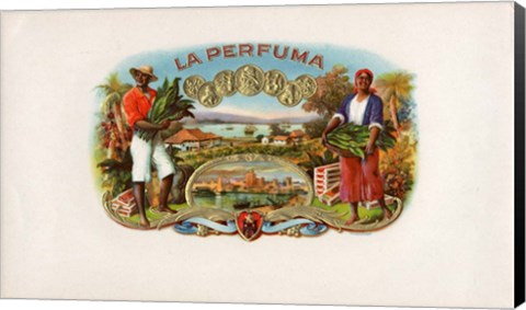 Framed La Perfuma Print