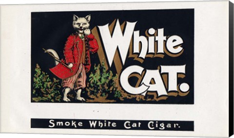 Framed White Cat Print