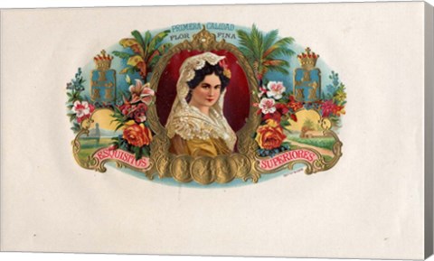 Framed Primera Calidad Print