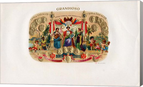 Framed Grandioso Print