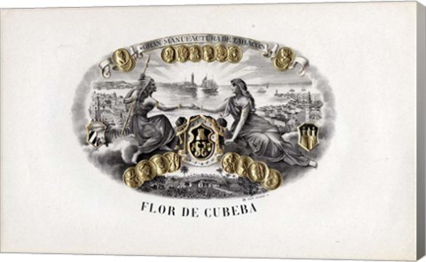 Framed Flor De Cubeba Print