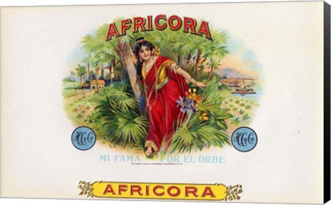 Framed Africora Print