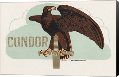 Framed Condor Print