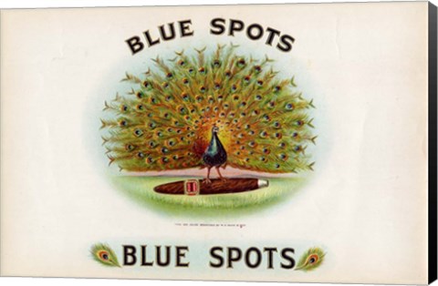 Framed Blue Spots Print