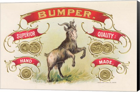 Framed Bumper Print