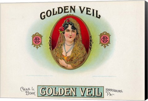 Framed Golden Veil Print