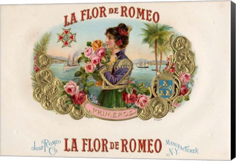 Framed La Flor De Romeo Print