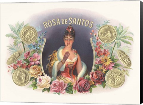 Framed Rosa De Santos Print