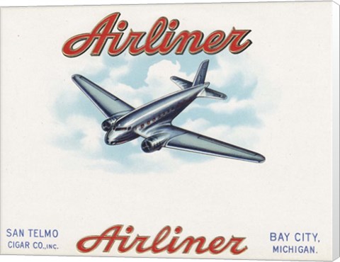 Framed Airliner Print