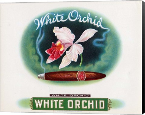 Framed White Orchid Print