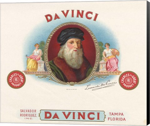 Framed Da Vinci Print