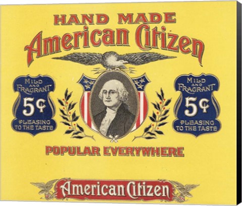 Framed American Citizen Print