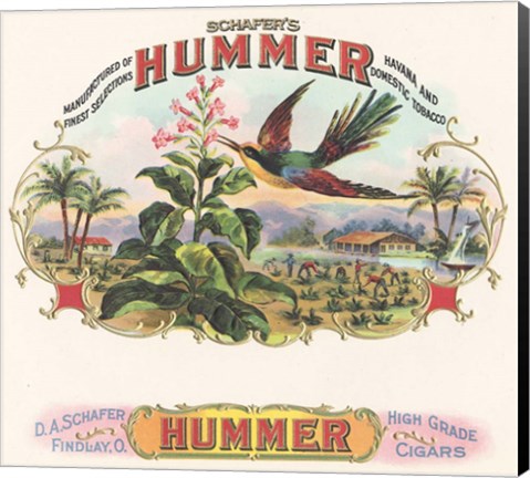 Framed Hummer Print