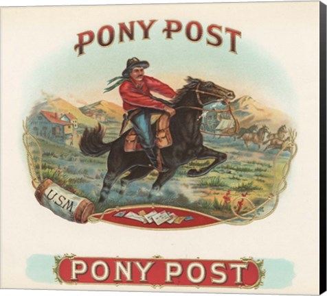 Framed Pony Post Print