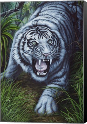 Framed White Tiger Print