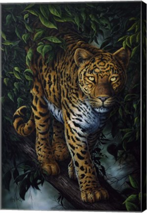 Framed Watchful Eyes Print