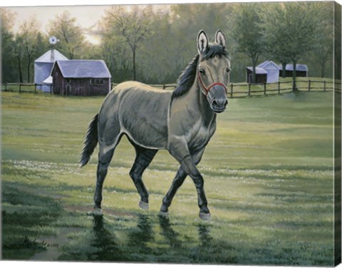 Framed In The Pasture Print
