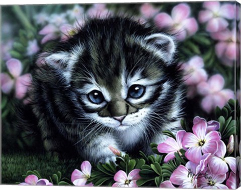 Framed Bright Eyes Print