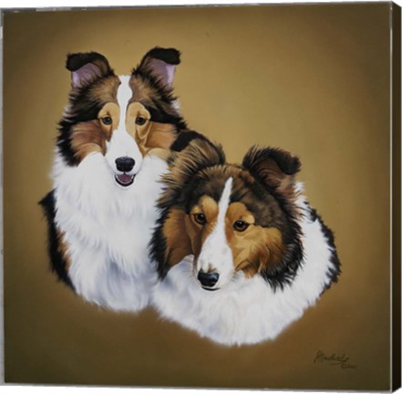 Framed Collies 1 Print
