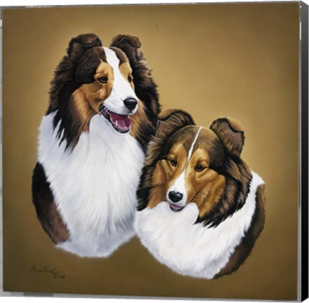 Framed Collies 2 Print