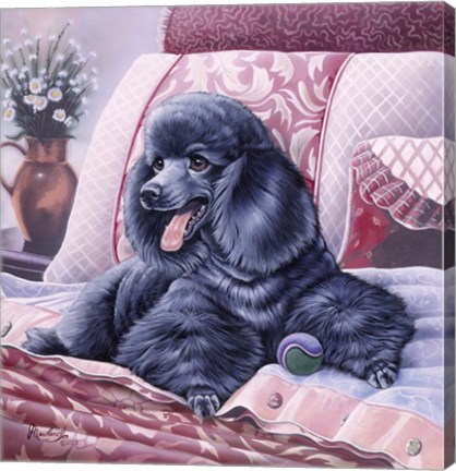 Framed Black Poodle Print