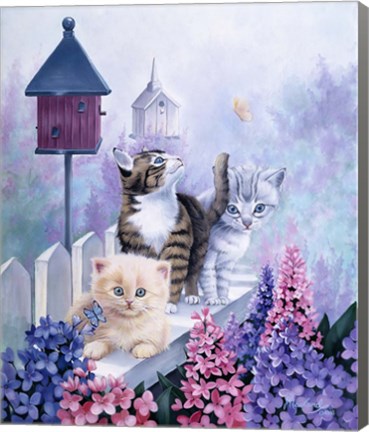 Framed Cats In Front Of The Birdfeeder Print