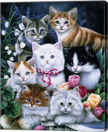 Framed Kittens Print
