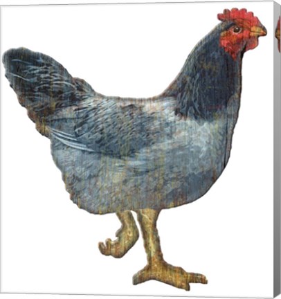 Framed Hen Wood Print